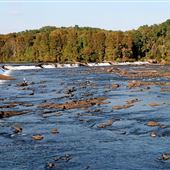 Savannah River