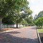 Forest Hills Neighborhood