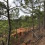 Cliffs and Ravines