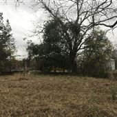 Field w/ Old Barn Houses