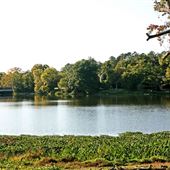 Lake Olmstead