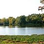 Lake Olmstead