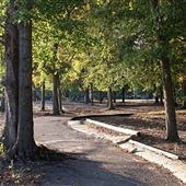 City Park