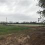 Field w/ Old Barn Houses